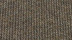 Tissu ROSSO Forest